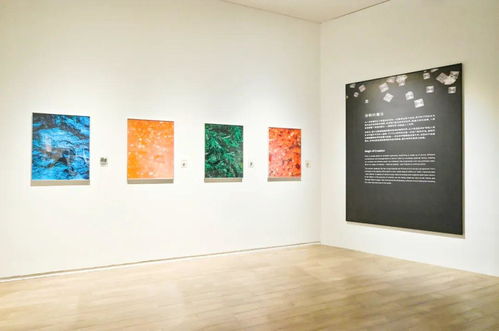 奇觀 科學(xué)藝術(shù)展在光明文化藝術(shù)中心美術(shù)館開(kāi)幕